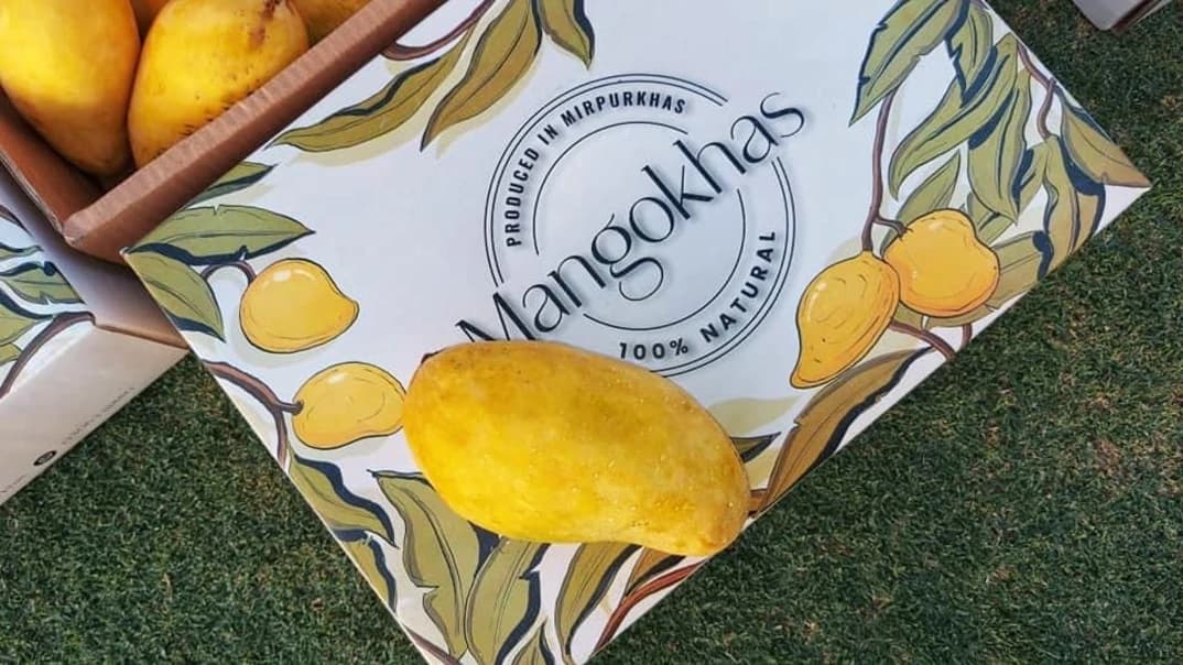 Mango Season Kicks Off